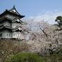 hirosaki-castle_aomori_japan.jpg